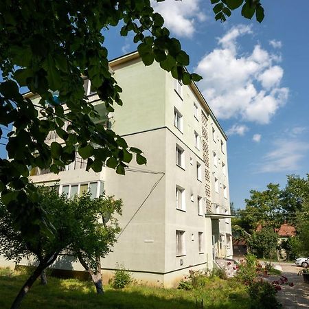 Nya Apartment Sighisoara Bagian luar foto