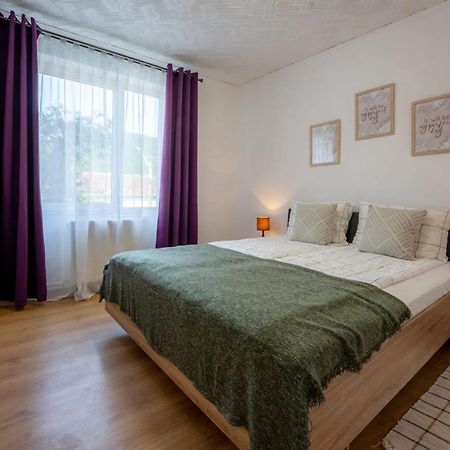 Nya Apartment Sighisoara Bagian luar foto