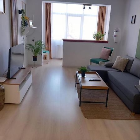 Nya Apartment Sighisoara Bagian luar foto