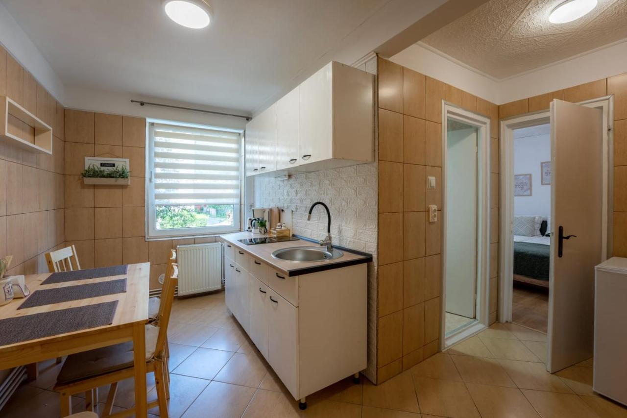 Nya Apartment Sighisoara Bagian luar foto